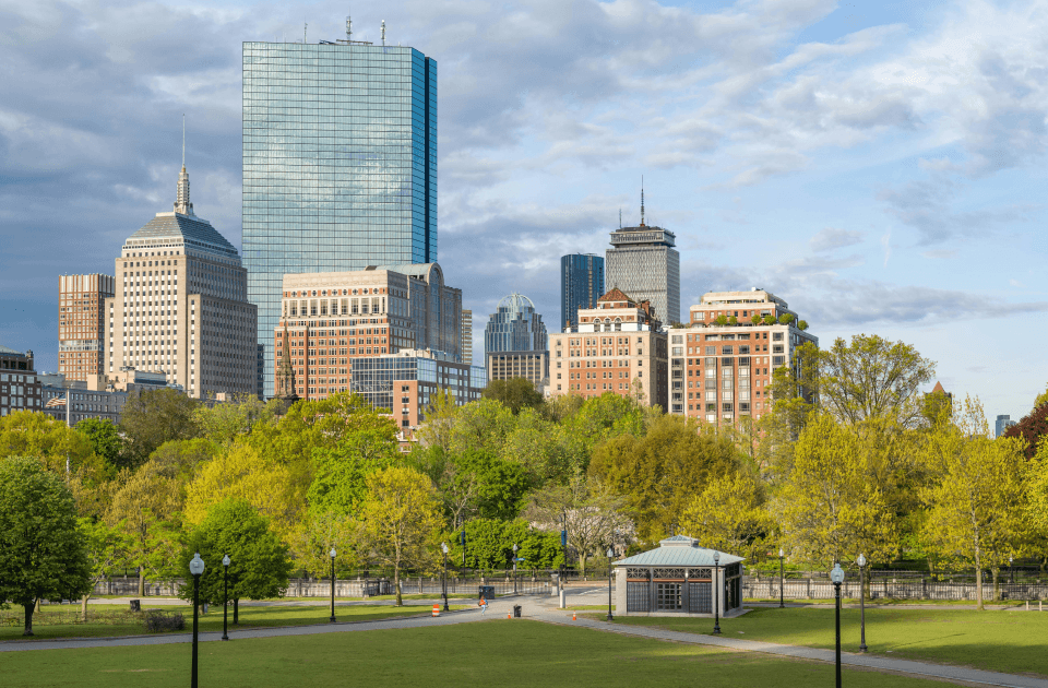 Boston skyline overlooking a tree-filled park