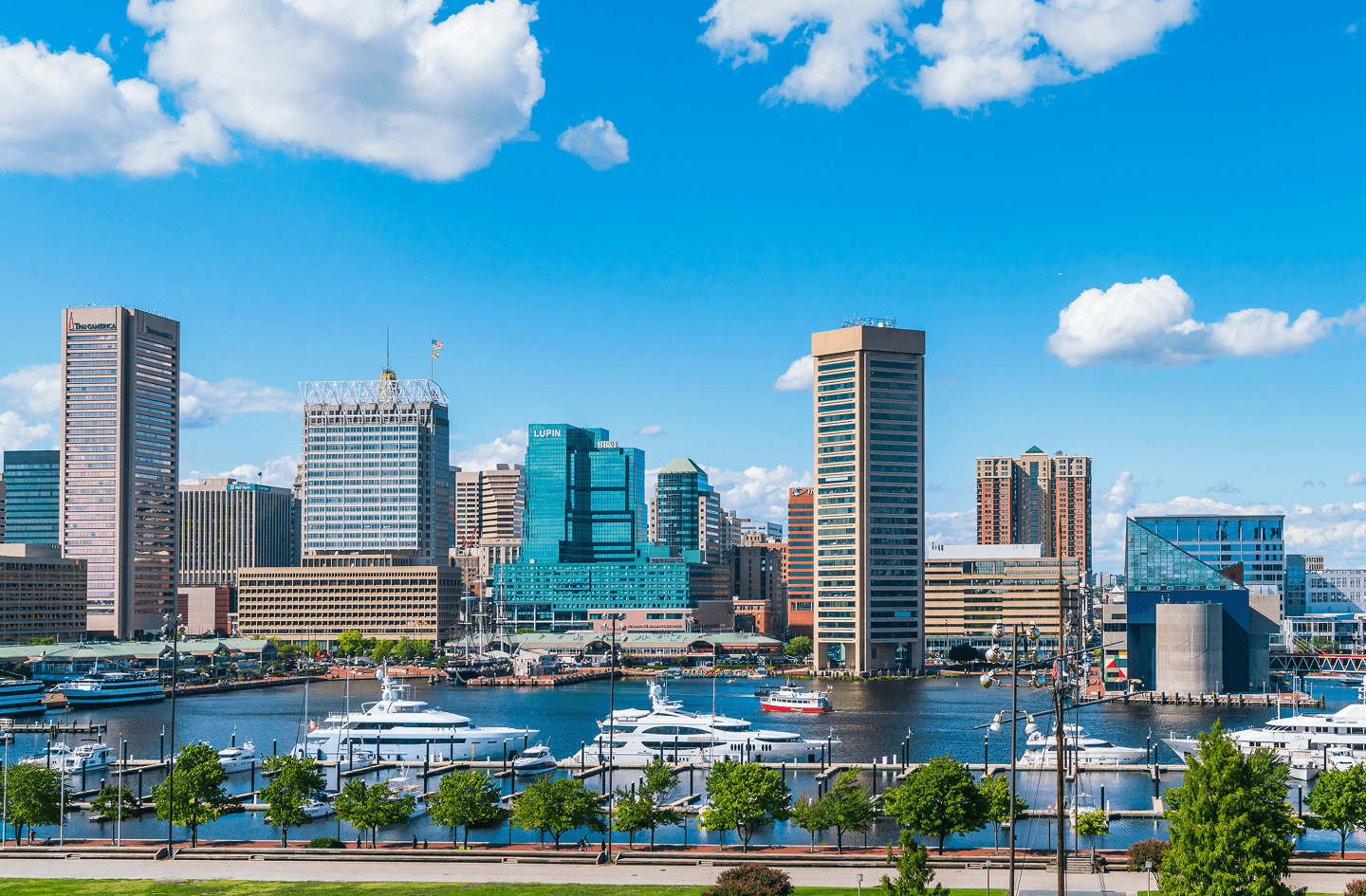 Baltimore Inner Harbor skyline with marina and yachts under a clear blue sky.